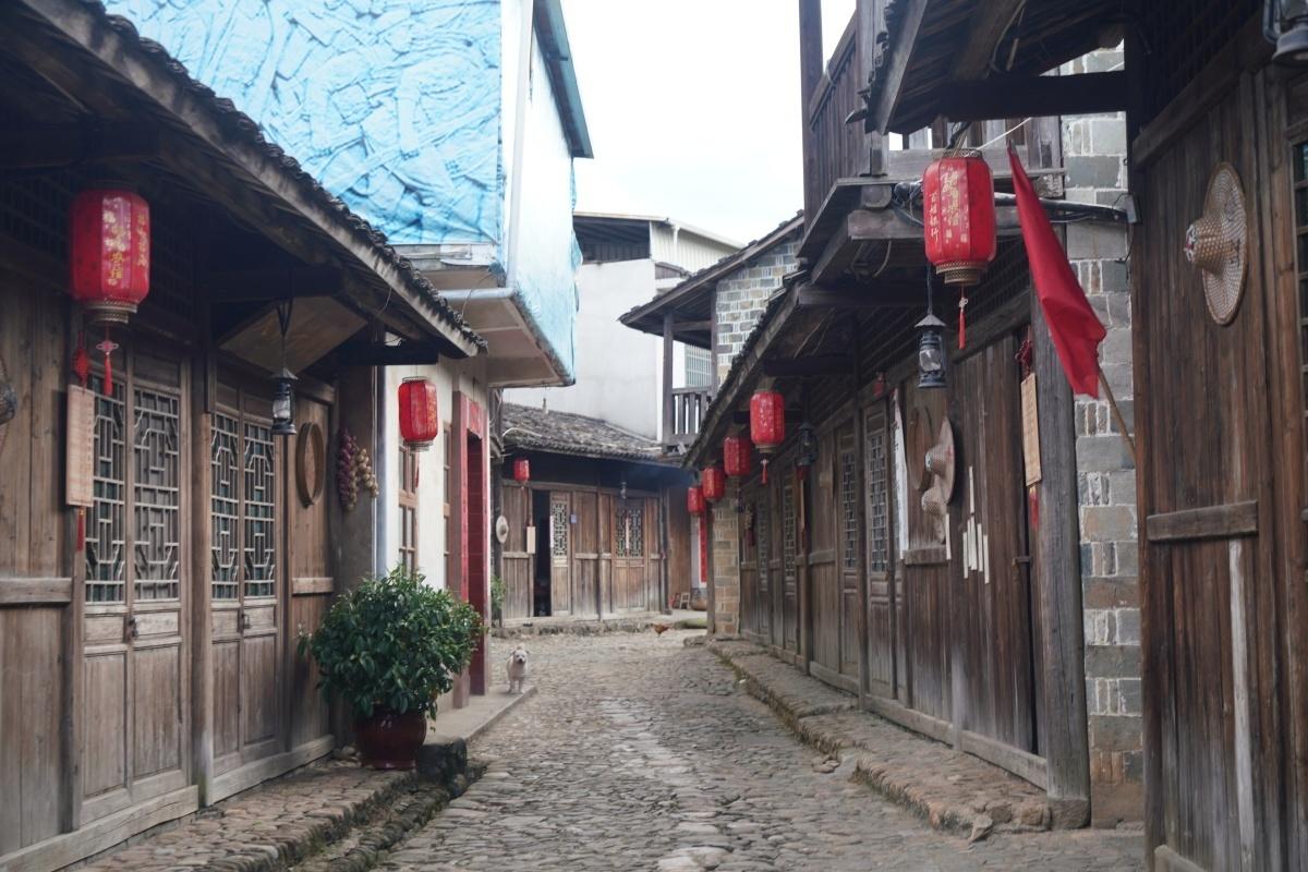 红土地上“长”出好日子——福建长汀红色文化的富民密码